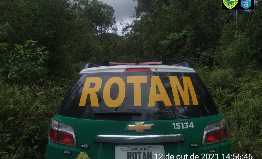 Polícia Ambiental aplica mais de R$ 1 milhão em Autos de infração ambiental contra suspeitos de desmatamento e rinha de galo, em ocorrências distintas