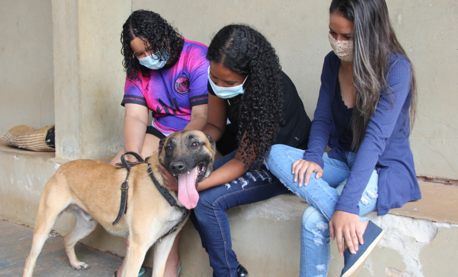 Equipe de Operações com Cães recebe admiradora da PM em Jacarezinho (PR)