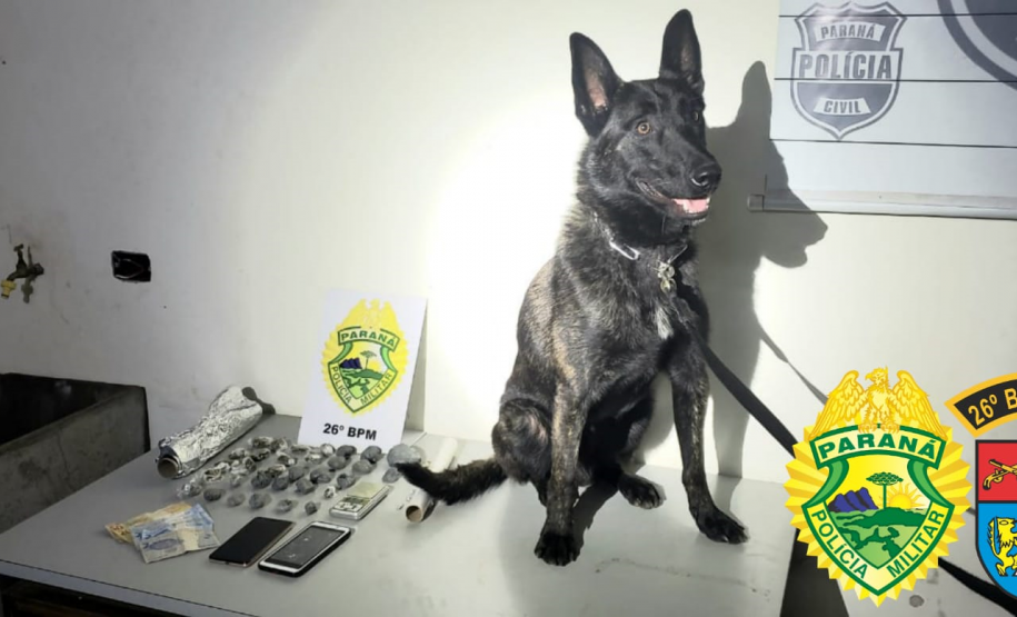 PM apreende mais de 6,4 quilos de maconha em situações distintas nos Campos Gerais do estado