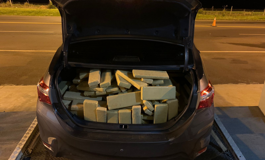 BPRv apreende mais de 250 quilos de maconha durante operação em Iporã (PR)