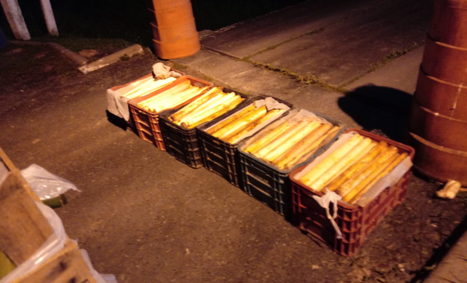 Carga de palmito escondida em caixas de bananas é localizada pela Polícia Ambiental em Guaraqueçaba (PR)