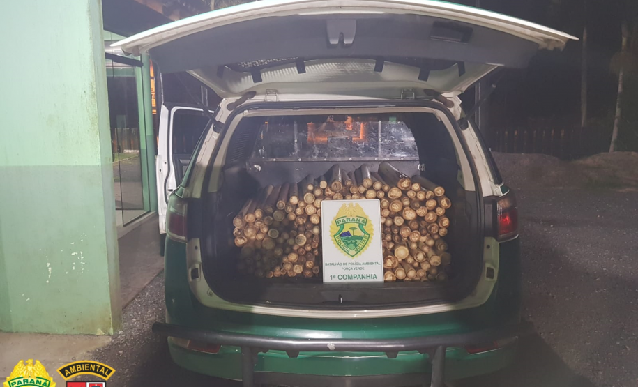 Carga de palmito escondida em caixas de bananas é localizada pela Polícia Ambiental em Guaraqueçaba (PR)