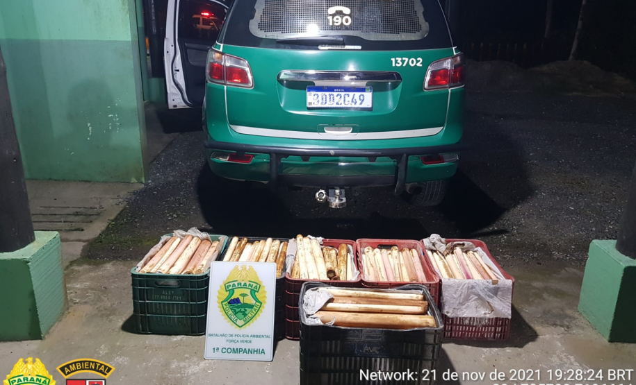 Carga de palmito escondida em caixas de bananas é localizada pela Polícia Ambiental em Guaraqueçaba (PR)