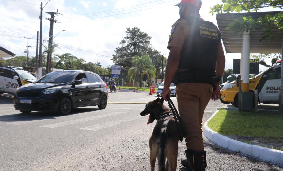 Polícia Rodoviária utiliza cães de faro contra o tráfico de drogas no Litoral