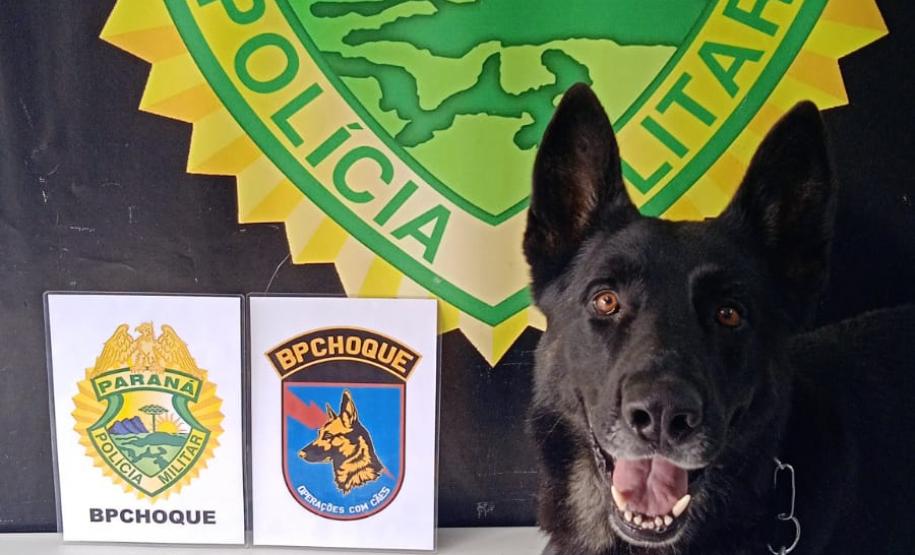 Em situações distintas, BPChoque prende duas pessoas e apreende joias, dólar e euro em Curitiba