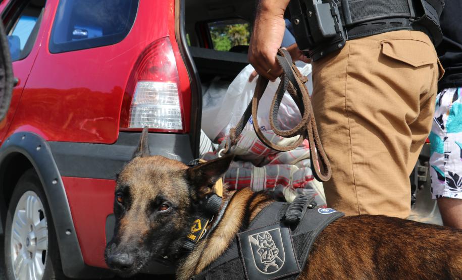 Polícia Militar Rodoviária flagra mais de 4 mil motoristas em excesso de velocidade