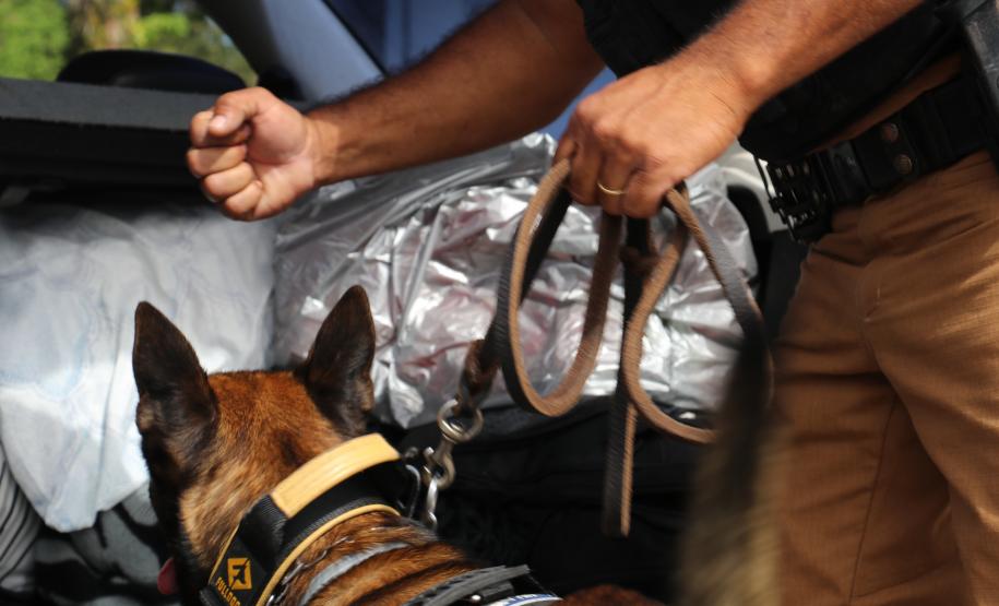 Polícia Militar Rodoviária flagra mais de 4 mil motoristas em excesso de velocidade