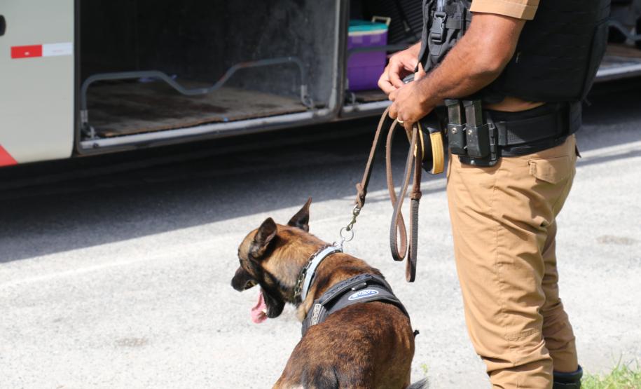 Polícia Militar Rodoviária flagra mais de 4 mil motoristas em excesso de velocidade