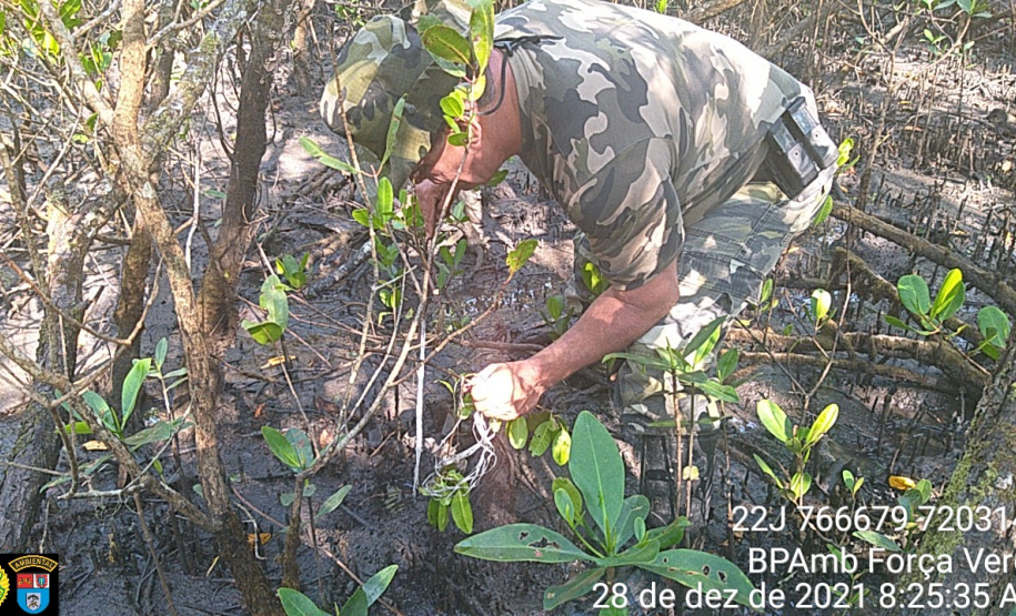 Policiais Ambientais apreendem 1,5 lacinhos e um gerival usados para pesca ilegal no Litoral do estado