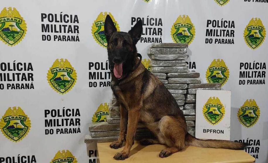 No Oeste do estado, policiais militares da fronteira apreendem 23 quilos de maconha, cigarros contrabandeados e três armas de fogo durante a Operação Hórus