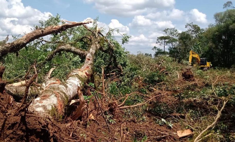 Batalhão Ambiental aplicou R$ 60,2 milhões em multas e atendeu 14 mil ocorrências em 2021