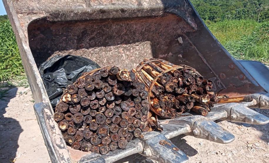 Batalhão Ambiental aplicou R$ 60,2 milhões em multas e atendeu 14 mil ocorrências em 2021