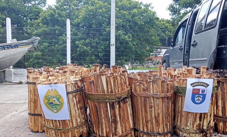 Batalhão Ambiental aplicou R$ 60,2 milhões em multas e atendeu 14 mil ocorrências em 2021