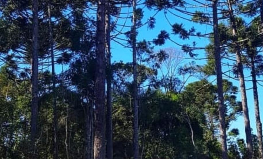 Batalhão Ambiental aplicou R$ 60,2 milhões em multas e atendeu 14 mil ocorrências em 2021