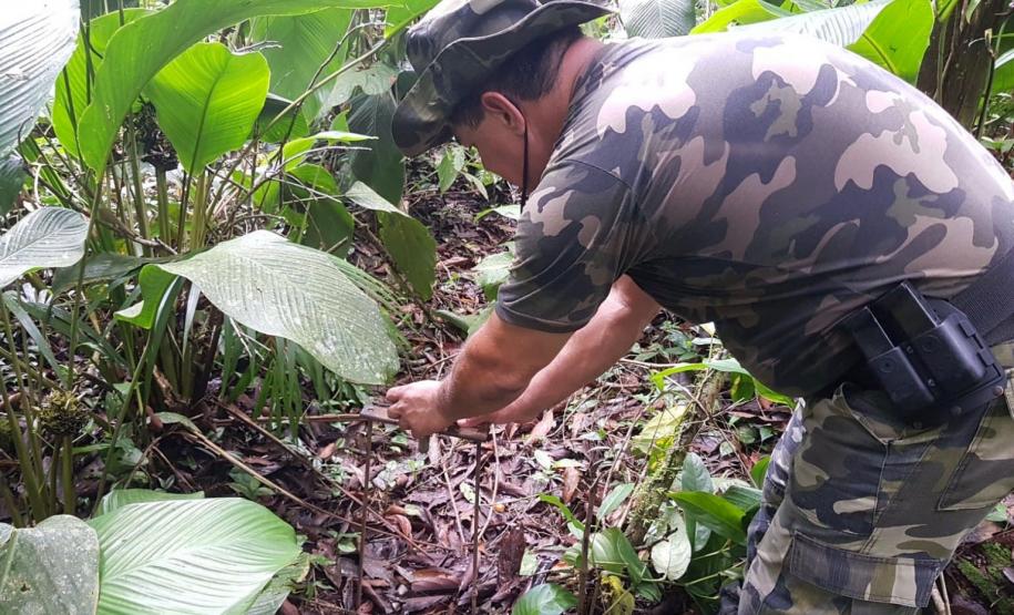 Batalhão Ambiental aplicou R$ 60,2 milhões em multas e atendeu 14 mil ocorrências em 2021
