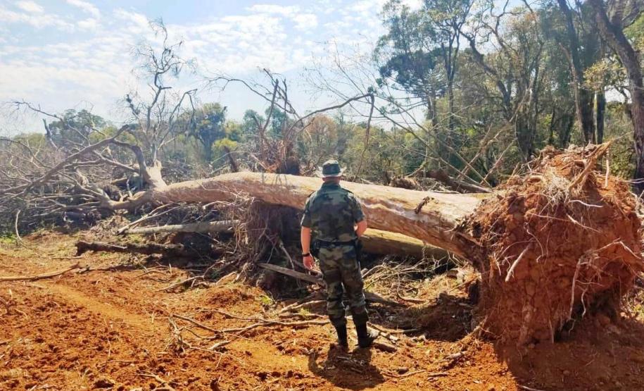 Batalhão Ambiental aplicou R$ 60,2 milhões em multas e atendeu 14 mil ocorrências em 2021
