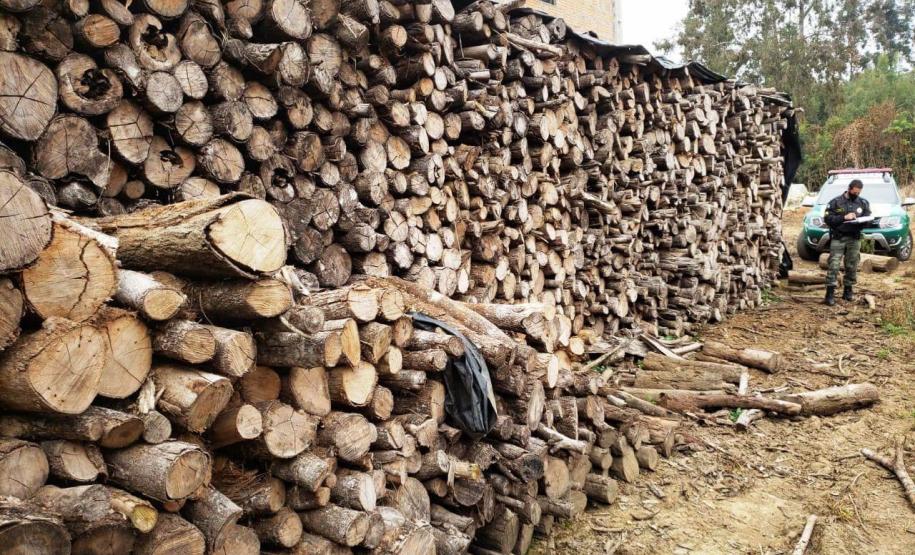 Batalhão Ambiental aplicou R$ 60,2 milhões em multas e atendeu 14 mil ocorrências em 2021