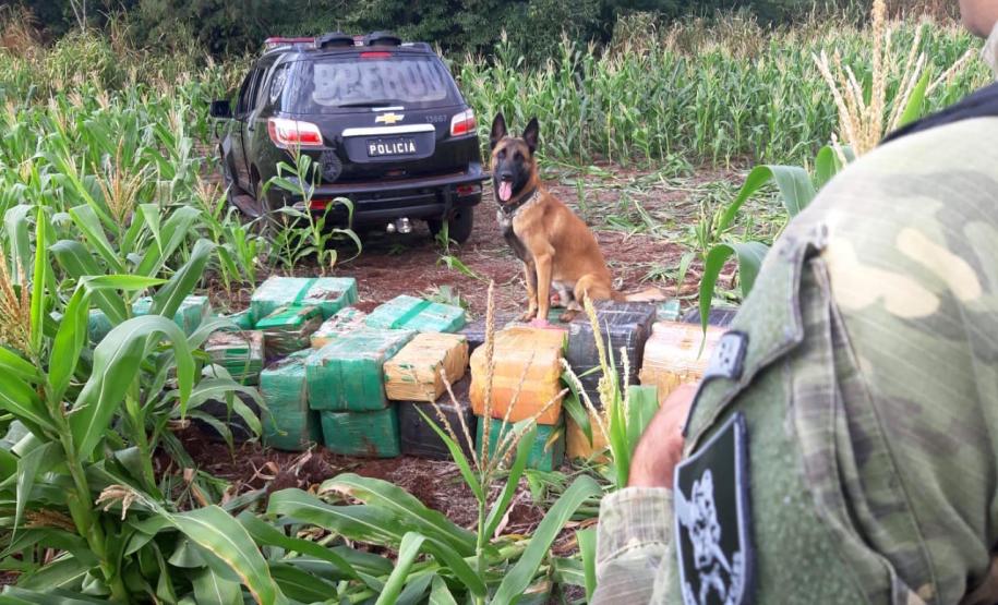 BPFron quadruplica apreensões de contrabando e tira de circulação 41 toneladas de drogas
