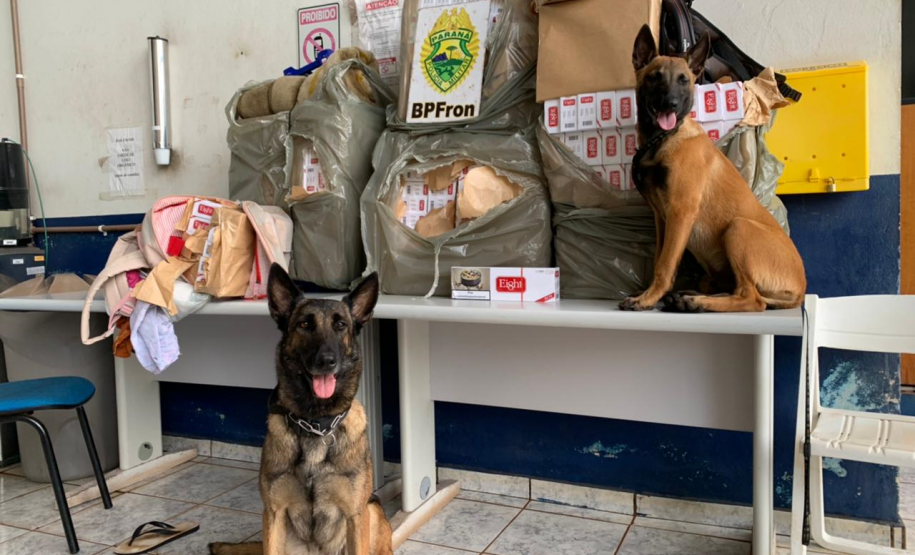 BPFron apreende mais de 700 quilos de maconha e cigarros contrabandeados durante a Operação Hórus