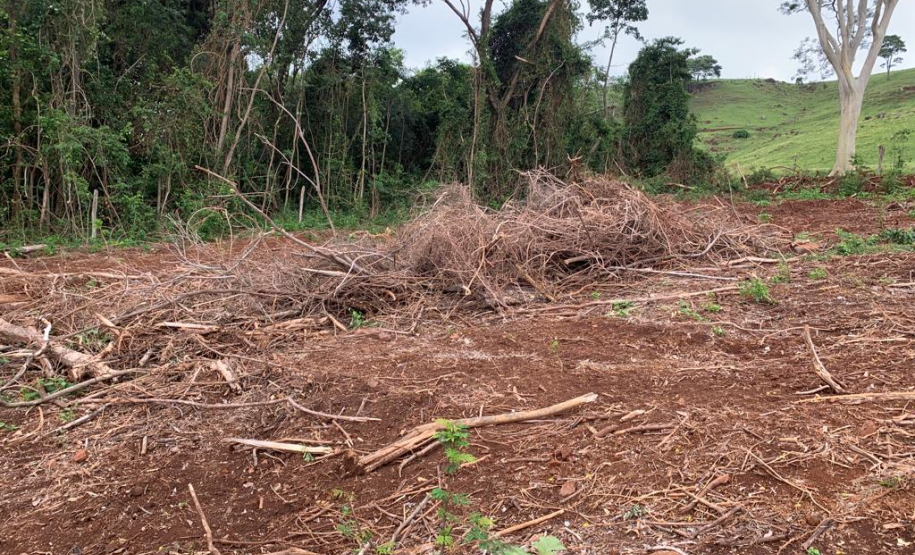 Polícia Ambiental apreende armamento e localiza desmatamento em Matelândia (PR)
