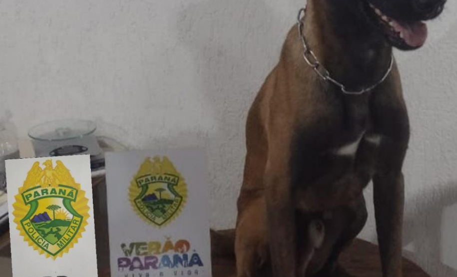Em diferentes cidades, policiais rodoviários estaduais apreendem 200 quilos de maconha, porções de crack e equipamentos eletrônicos
