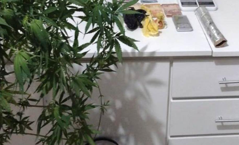 PM encaminha 10 pessoas e apreende drogas e recupera objetos no Sudoeste do estado