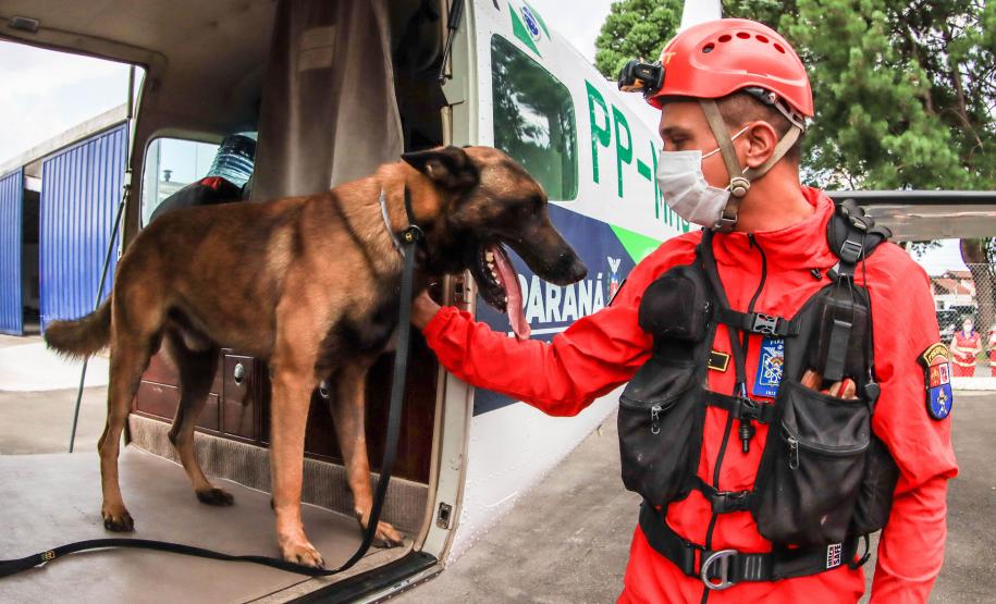 Governo do Paraná envia 10 bombeiros e cães para buscas a desaparecidos em Petrópolis