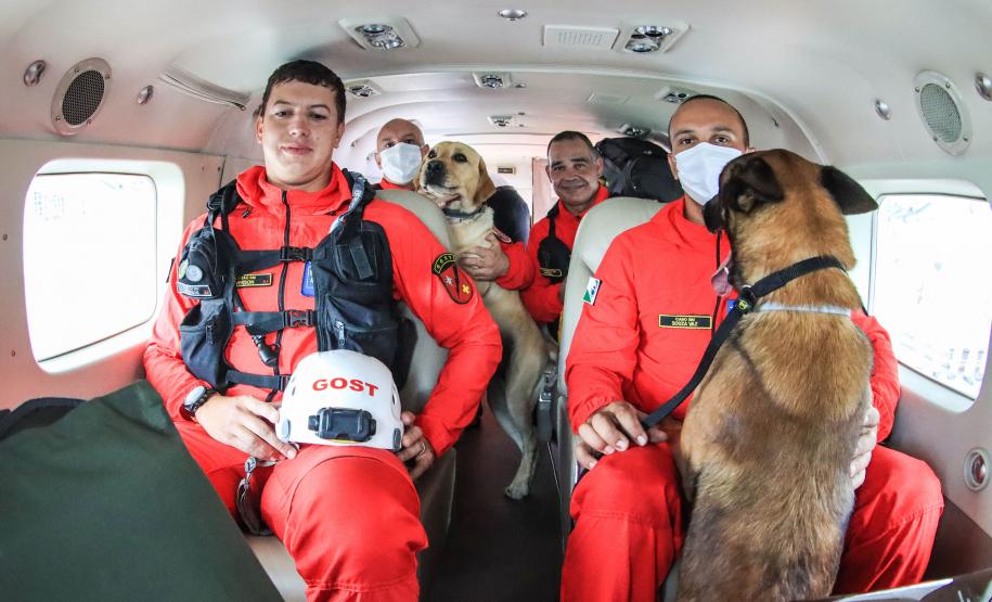 Governo do Paraná envia 10 bombeiros e cães para buscas a desaparecidos em Petrópolis