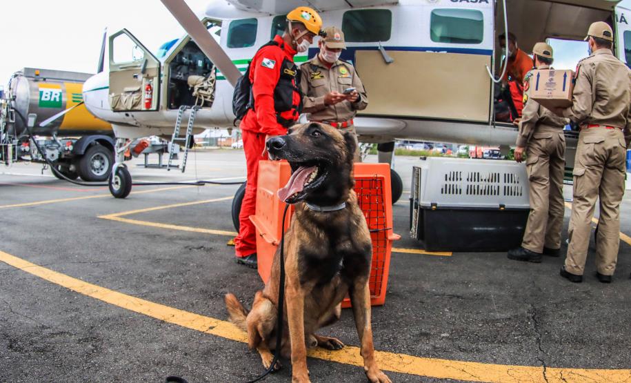 Governo do Paraná envia 10 bombeiros e cães para buscas a desaparecidos em Petrópolis