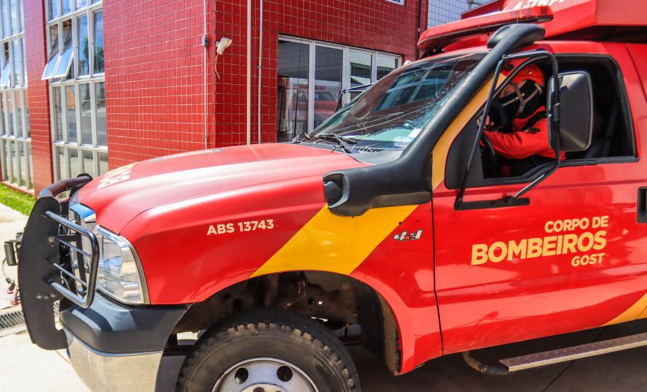 Primeiro grupo de bombeiros paranaenses e cães de faro viaja para Petrópolis