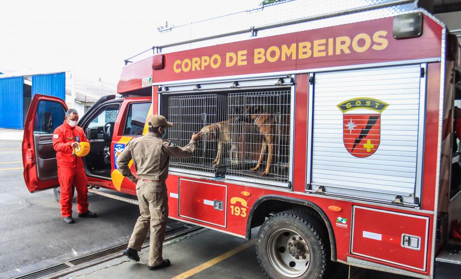 Governo do Paraná envia 10 bombeiros e cães para buscas a desaparecidos em Petrópolis