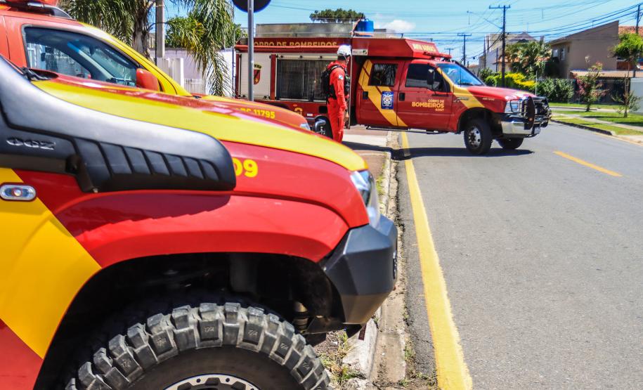 Primeiro grupo de bombeiros paranaenses e cães de faro viaja para Petrópolis
