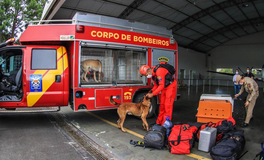 Governo do Paraná envia 10 bombeiros e cães para buscas a desaparecidos em Petrópolis