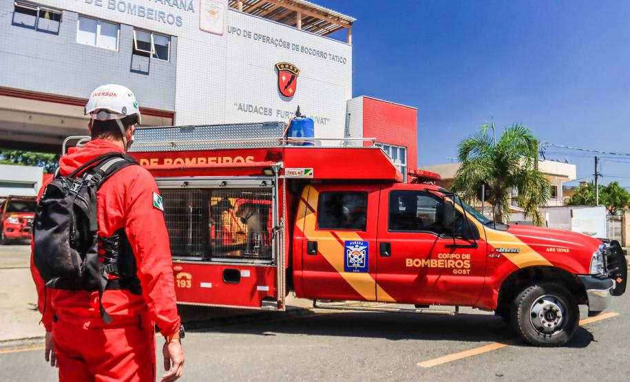 Primeiro grupo de bombeiros paranaenses e cães de faro viaja para Petrópolis