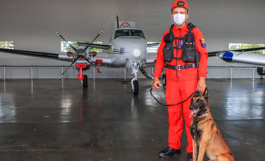 Governo do Paraná envia 10 bombeiros e cães para buscas a desaparecidos em Petrópolis