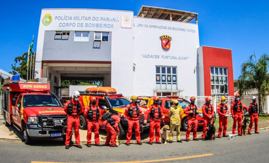 Primeiro grupo de bombeiros paranaenses e cães de faro viaja para Petrópolis