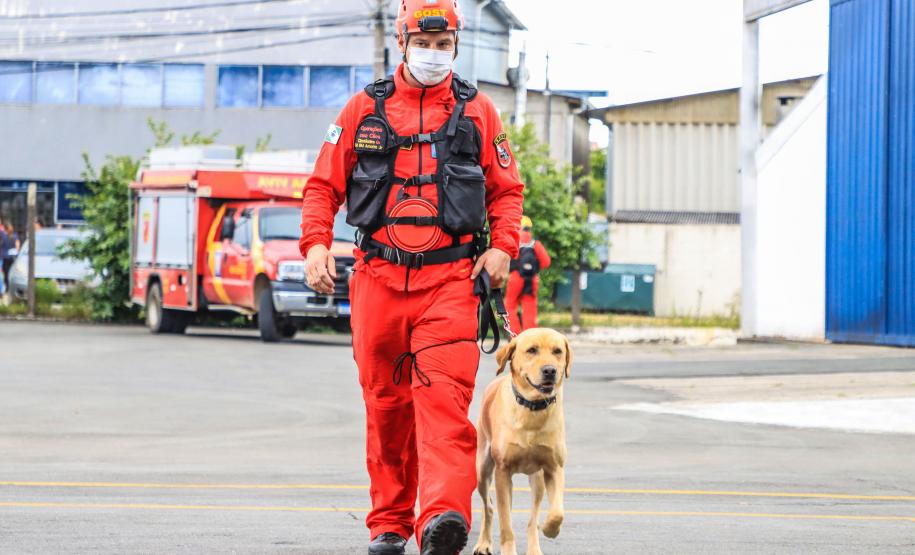 Governo do Paraná envia 10 bombeiros e cães para buscas a desaparecidos em Petrópolis