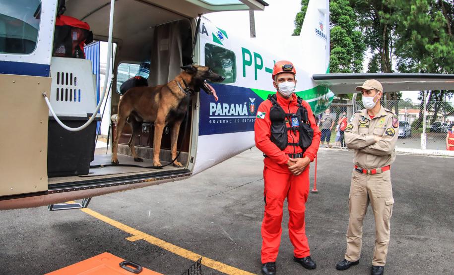 Governo do Paraná envia 10 bombeiros e cães para buscas a desaparecidos em Petrópolis
