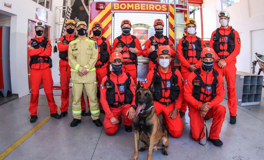 Primeiro grupo de bombeiros paranaenses e cães de faro viaja para Petrópolis