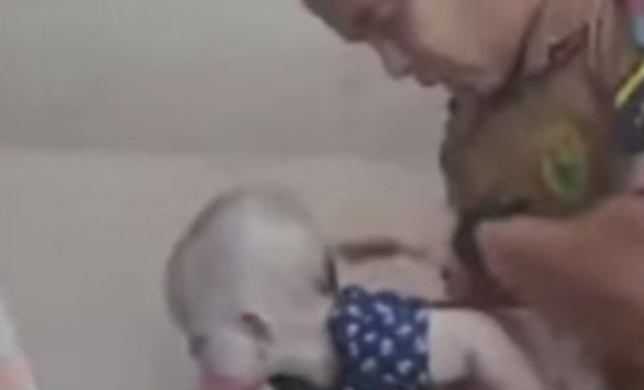 Policiais salvam vida de bebê e PM orienta sobre como agir em caso de engasgamento