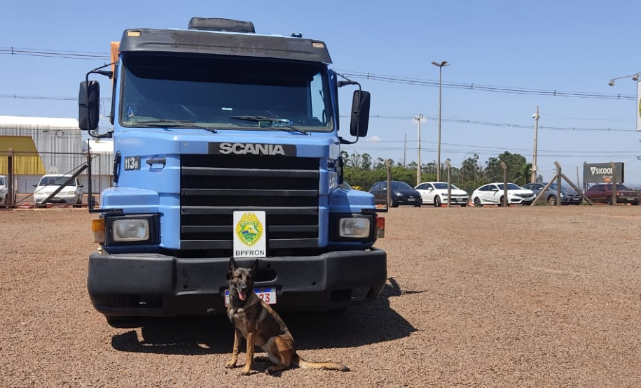 BPFRON apreende quase 50 quilos de maconha e recupera 32 toneladas de soja no Oeste do estado