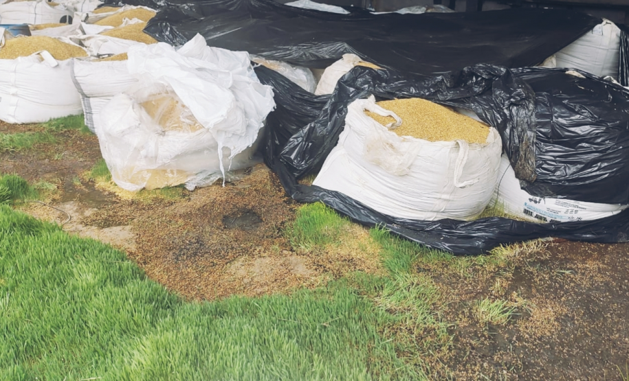 PM recupera 35 toneladas de cevada e insumo agrícola desviados em Paranaguá, no Litoral do estado