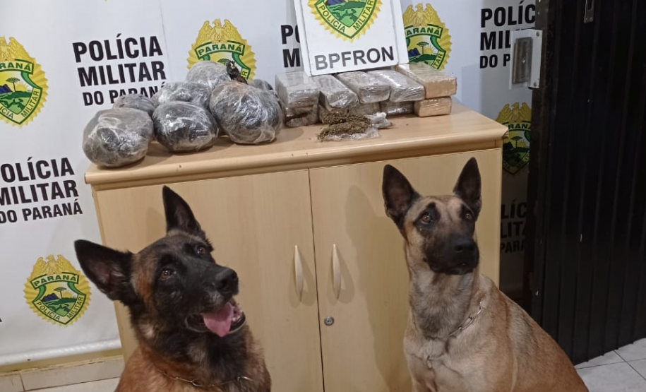 BPFRON apreende quase 50 quilos de maconha e recupera 32 toneladas de soja no Oeste do estado