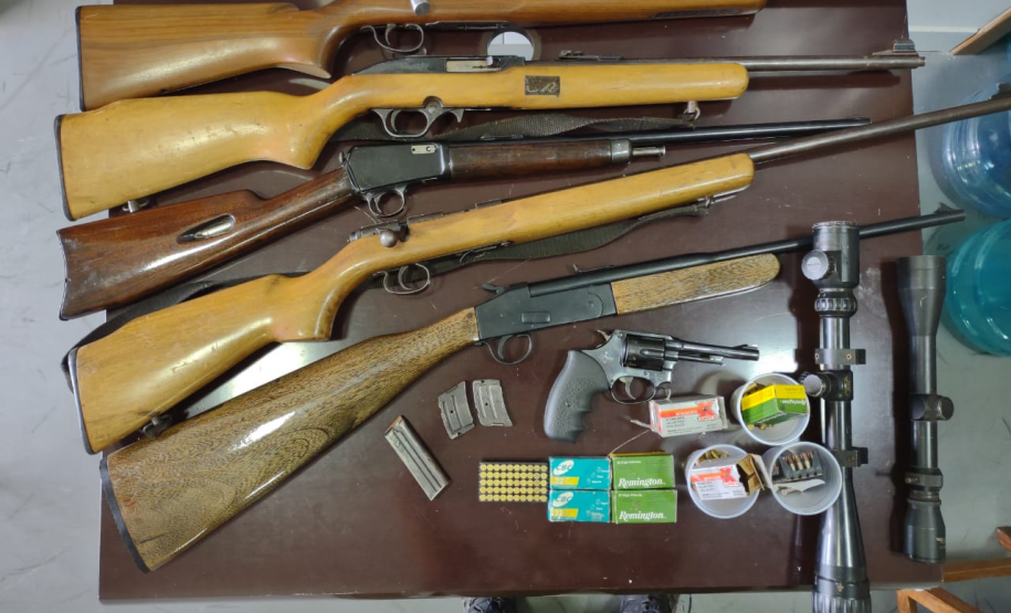 Polícia Ambiental apreende seis armas de fogo e resgata 43 aves silvestres no Norte do estado