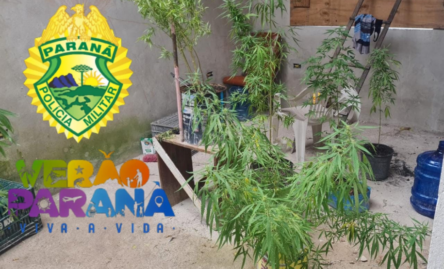 PM prende dois homens e apreende sete pés de maconha em Pontal do Paraná (PR)