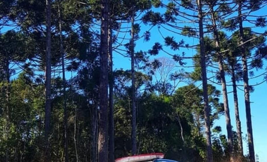 Batalhão de Polícia Ambiental aumenta parcerias e multas crescem R$ 19 milhões em 2 anos