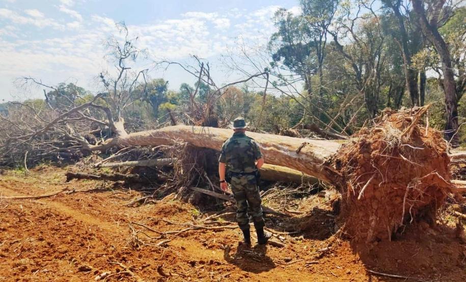 Batalhão de Polícia Ambiental aumenta parcerias e multas crescem R$ 19 milhões em 2 anos