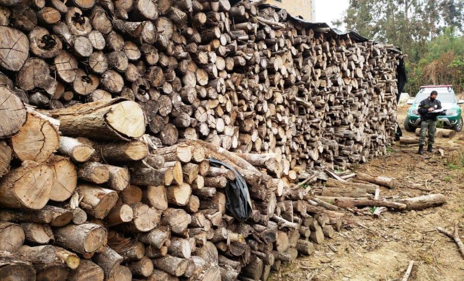 Batalhão de Polícia Ambiental aumenta parcerias e multas crescem R$ 19 milhões em 2 anos