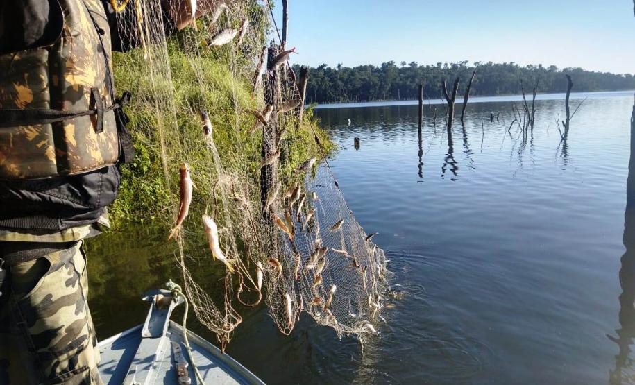 Batalhão de Polícia Ambiental aumenta parcerias e multas crescem R$ 19 milhões em 2 anos