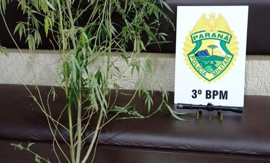 PM prende três homens e apreende dois pés de maconha, duas espingardas e 140 munições no Sudoeste do estado